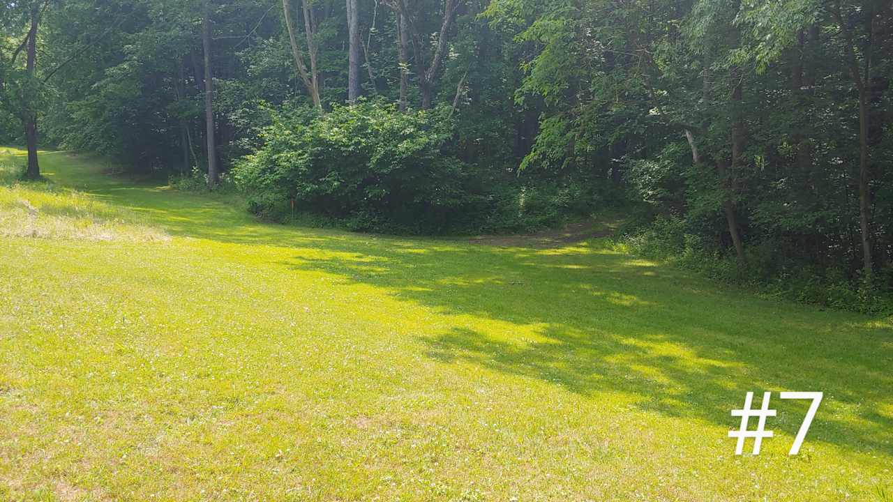 Bill S. and Nancy's property
