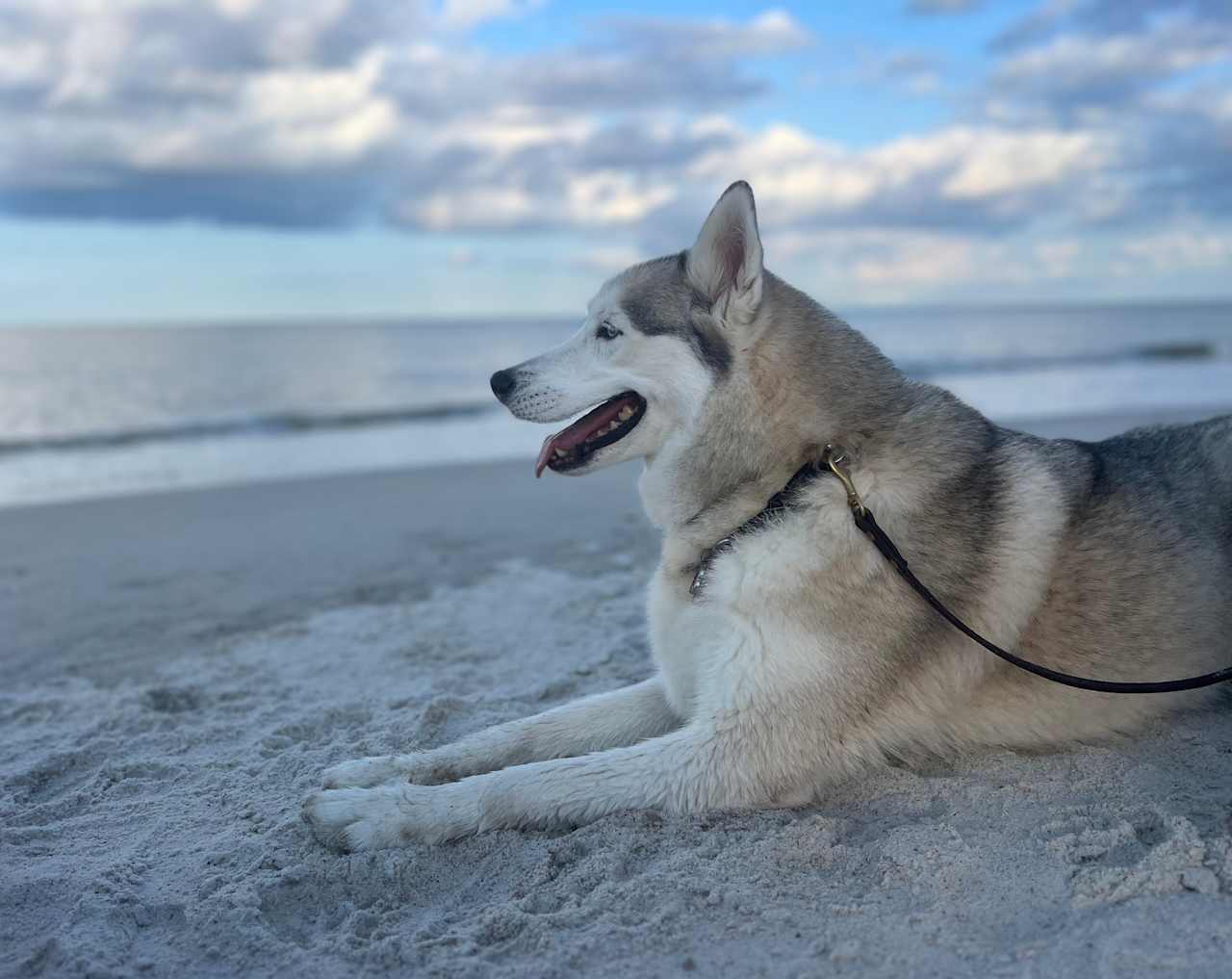 St Augustine Beach