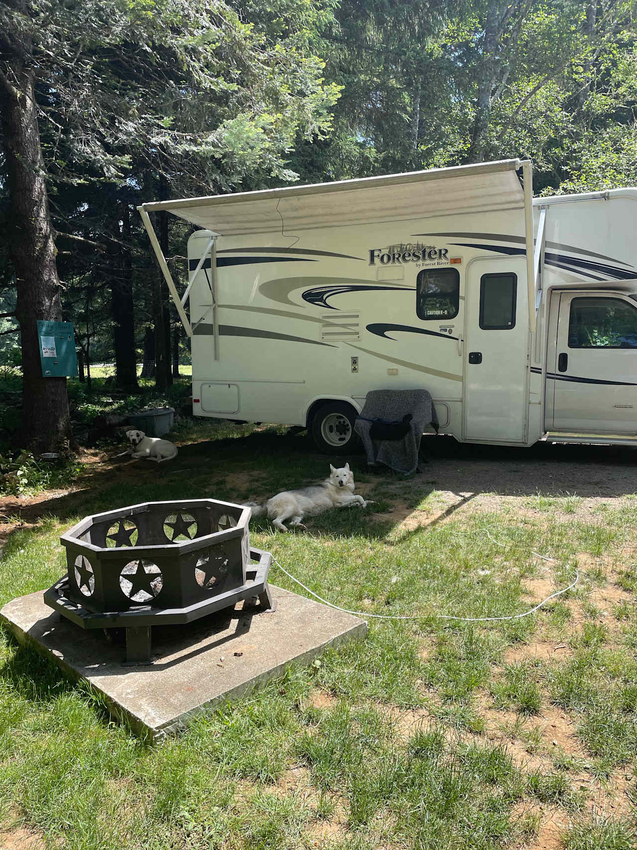 Coastal Forest Farm Camp