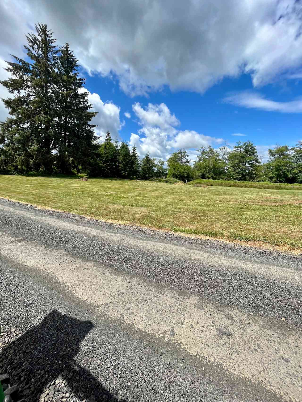 Willapa Valley Meadow