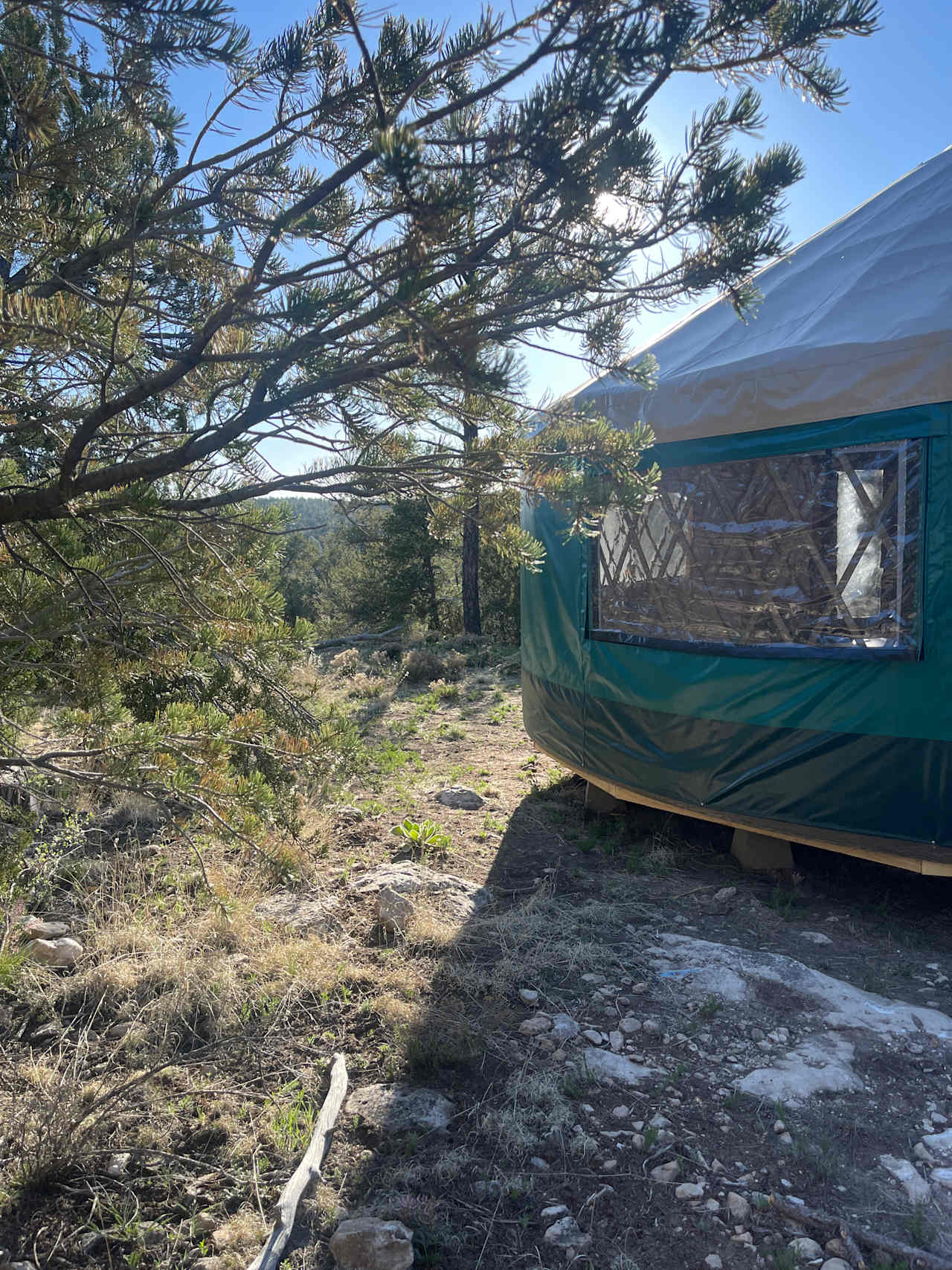 Exterior of the 24ft yurt