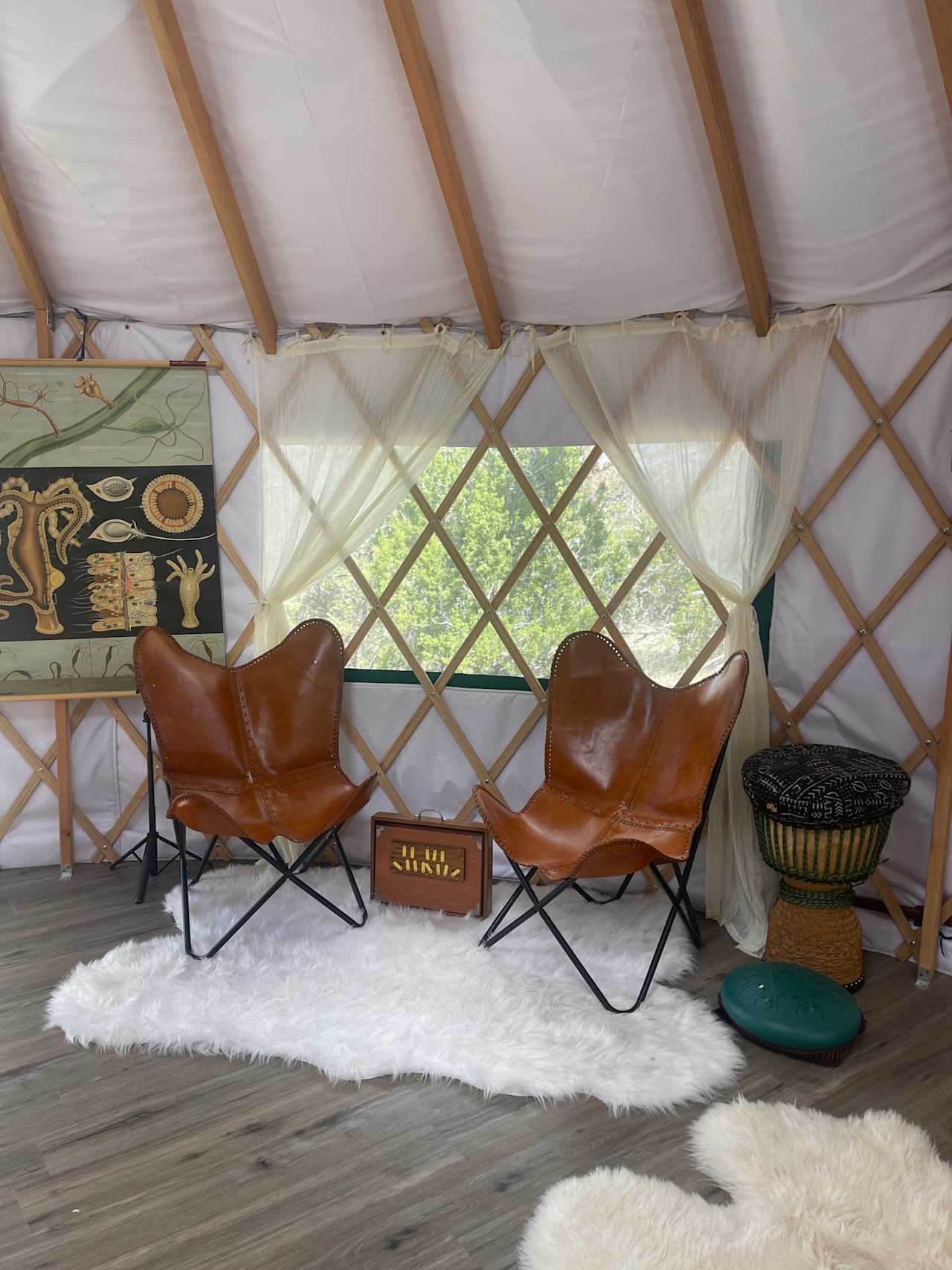 The Den @ Starry Hollow