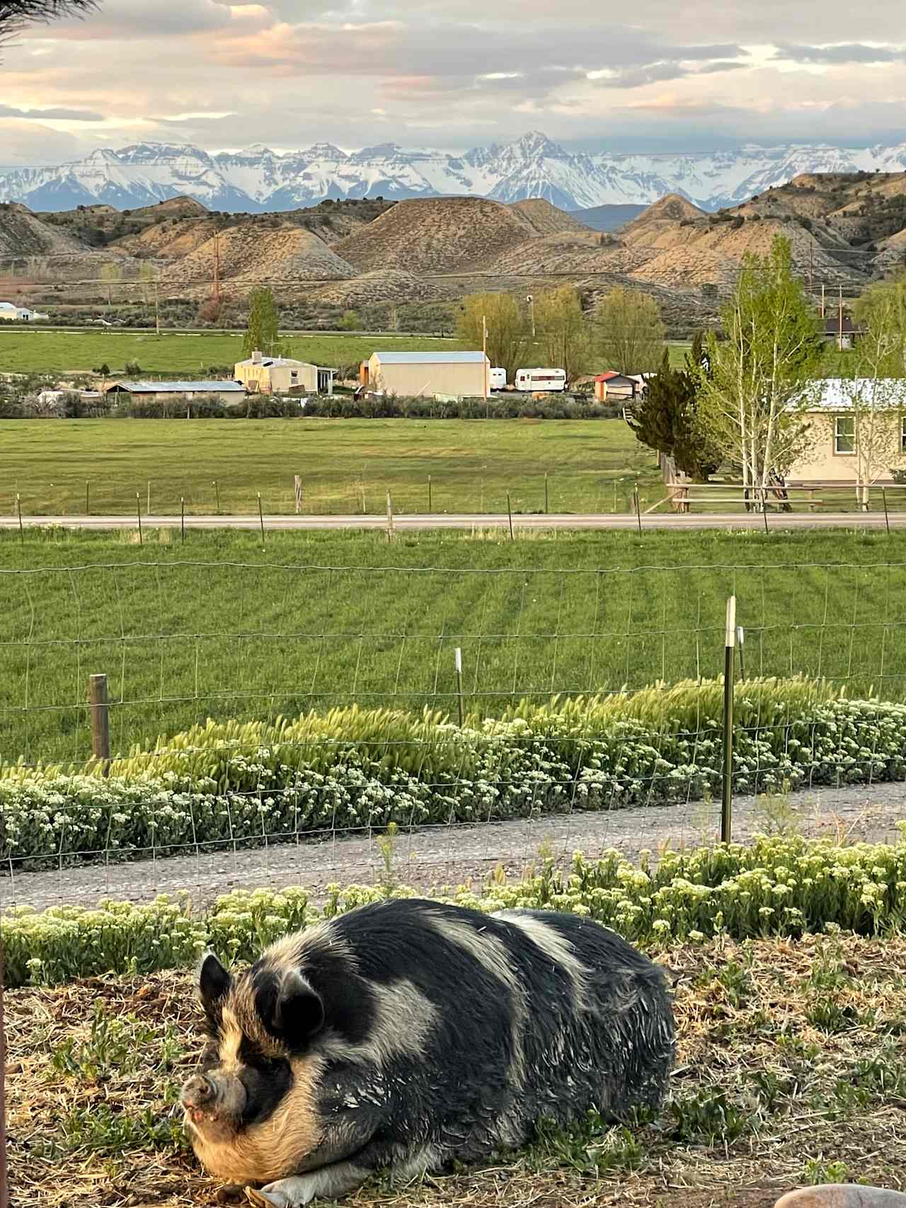 Gerken's Organics Farm