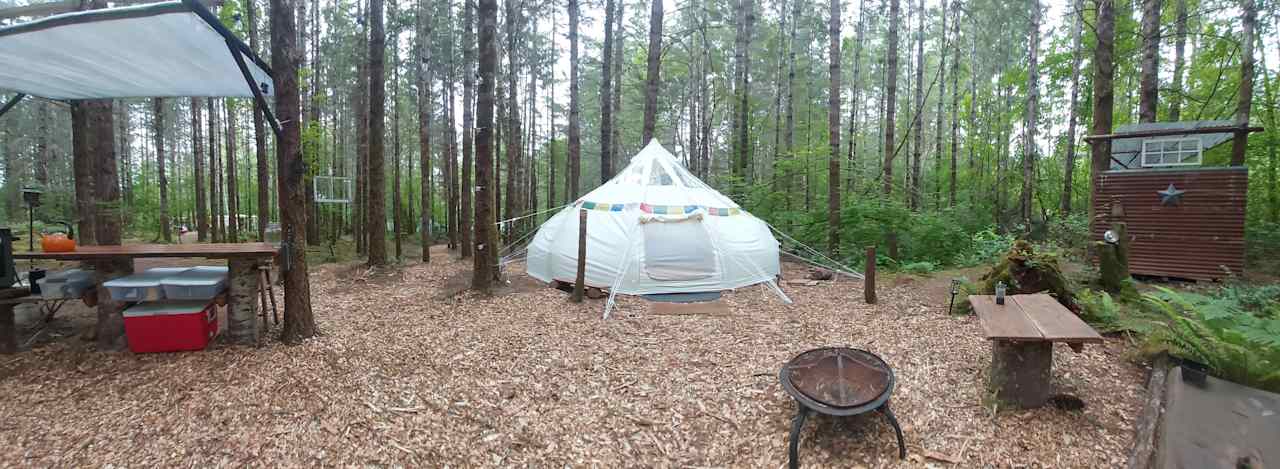 The Lotus tent is set in it's own part of Elfendahl forest so you can enjoy our whimsical woods in privet, or if you choose, you can hang out in the common areas with other guest.