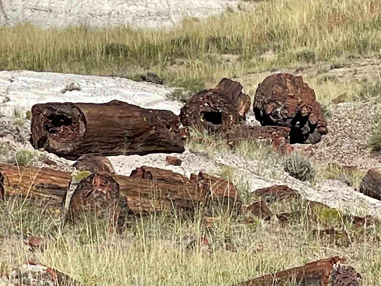 Petrified Forest National Park is just 30 minutes away