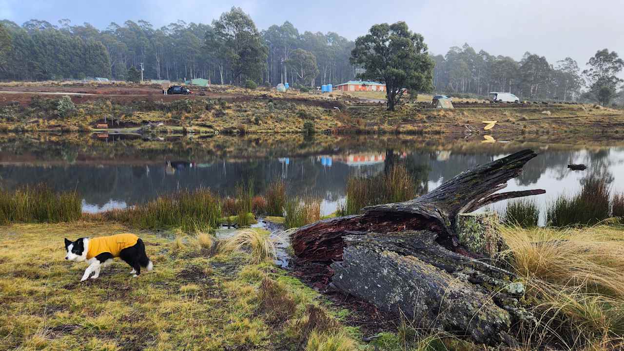 Cradle Mountain Fishery and Camping