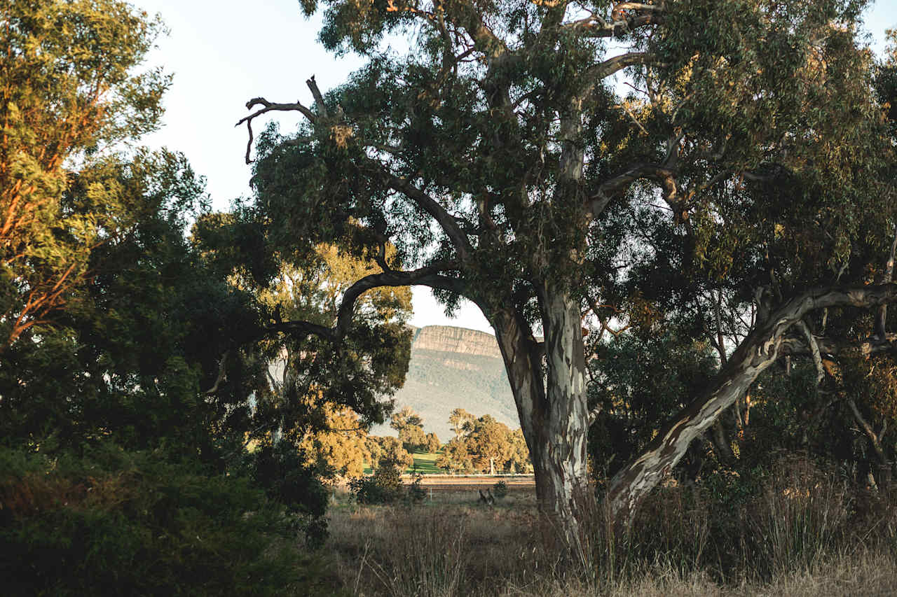 Little sunrise walk around the property