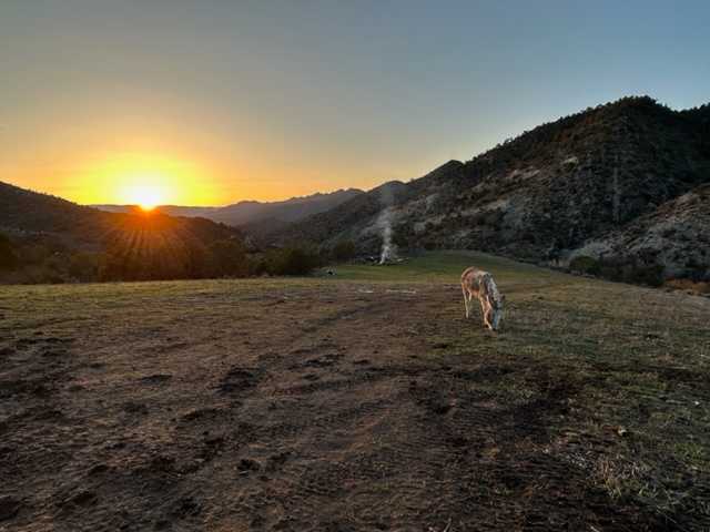 Shaka Ranch