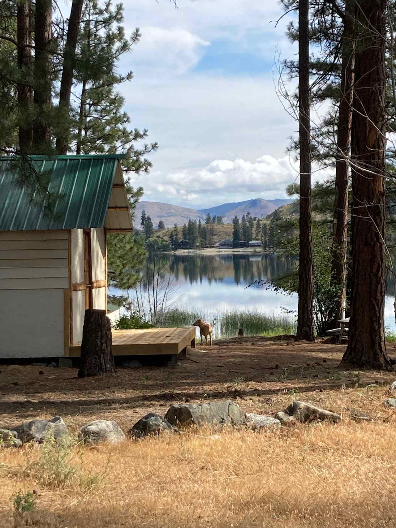 "Sart" Cabin with newly constructed deck