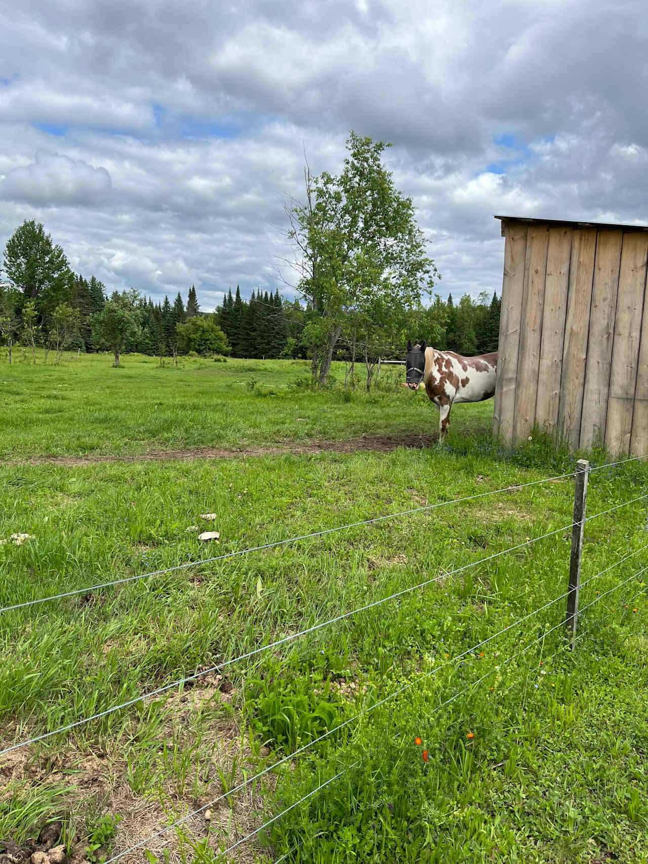 Burke Line Farm