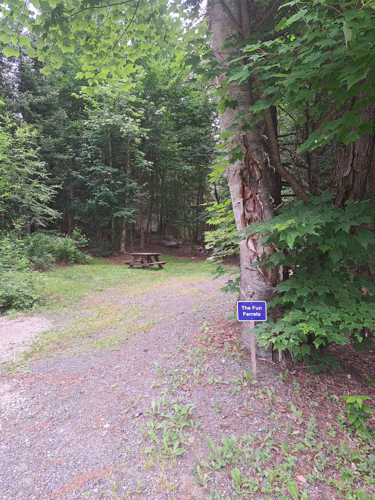 NORTHERN ESCAPE CAMPGROUND