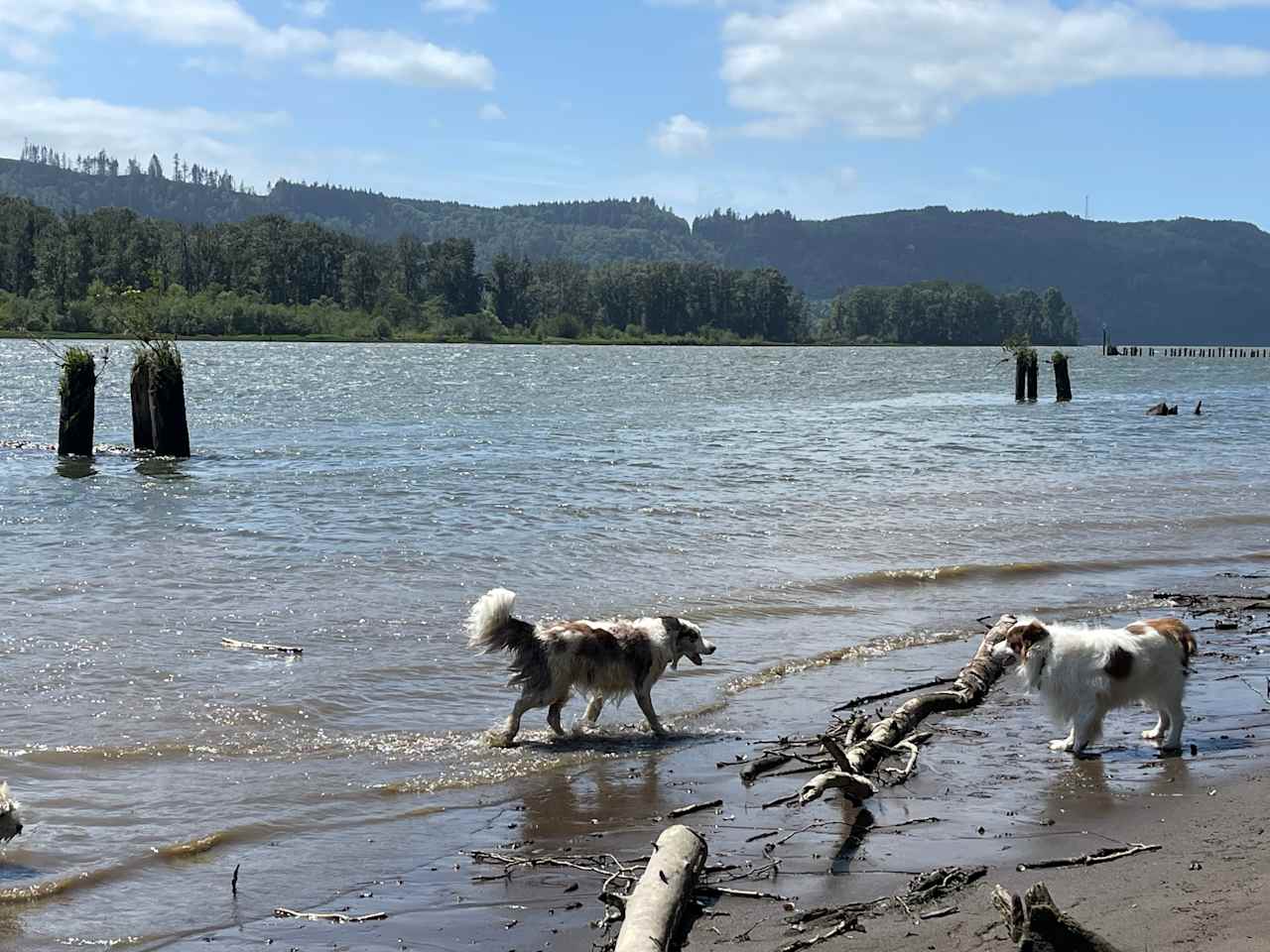 West Sunny Sands Beach Campsites