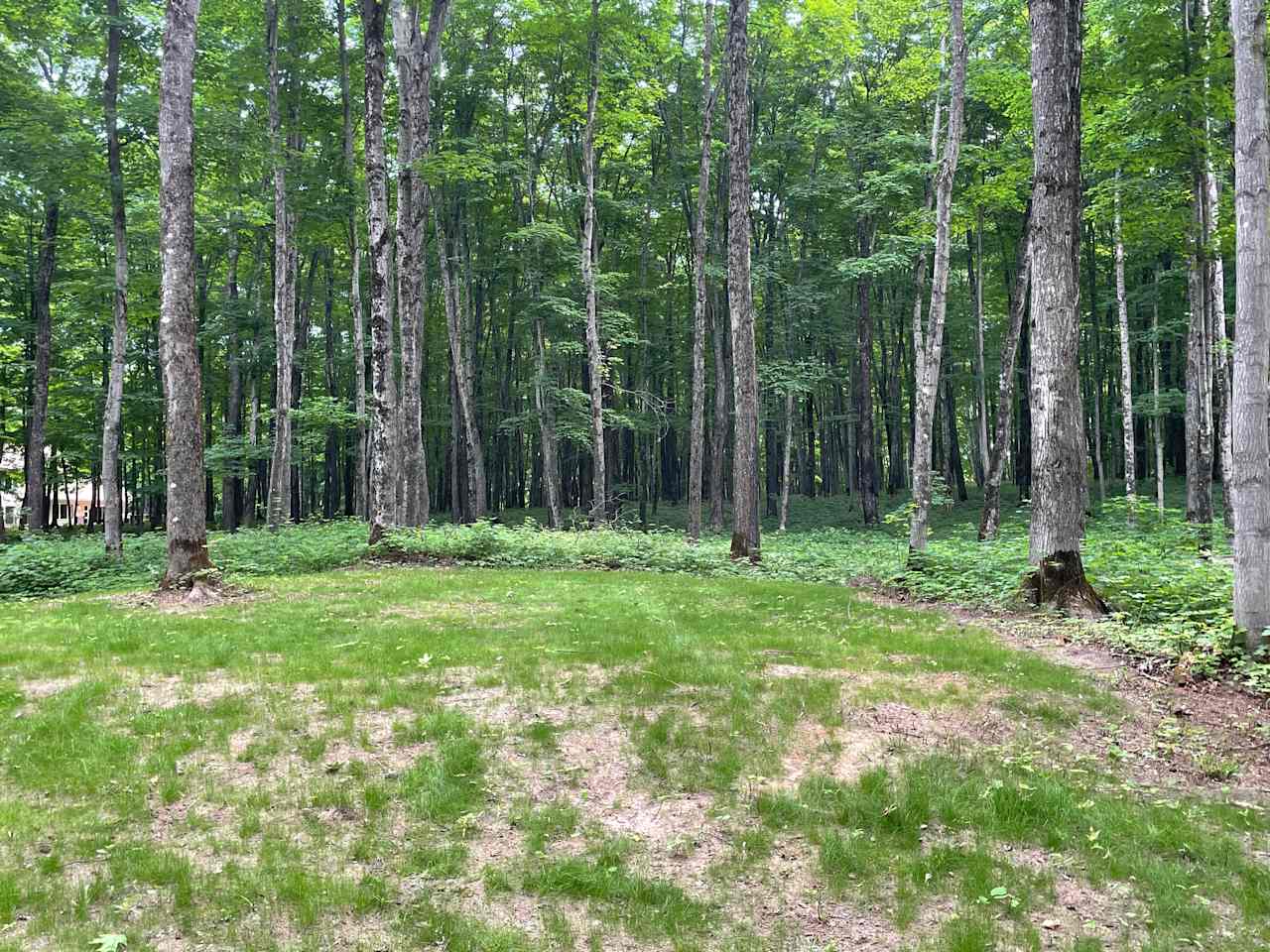 Grass is coming in! nice spot for a tent with parking area next to site!