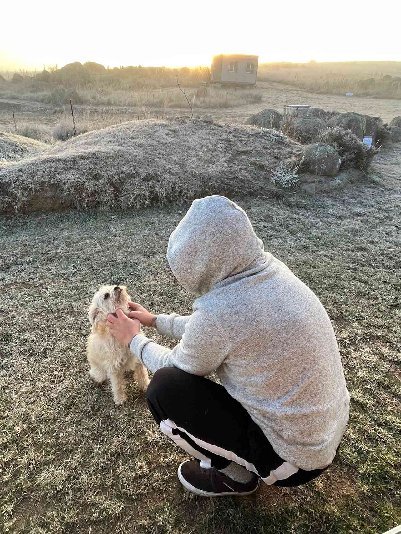 Cuddly, friendly resident 