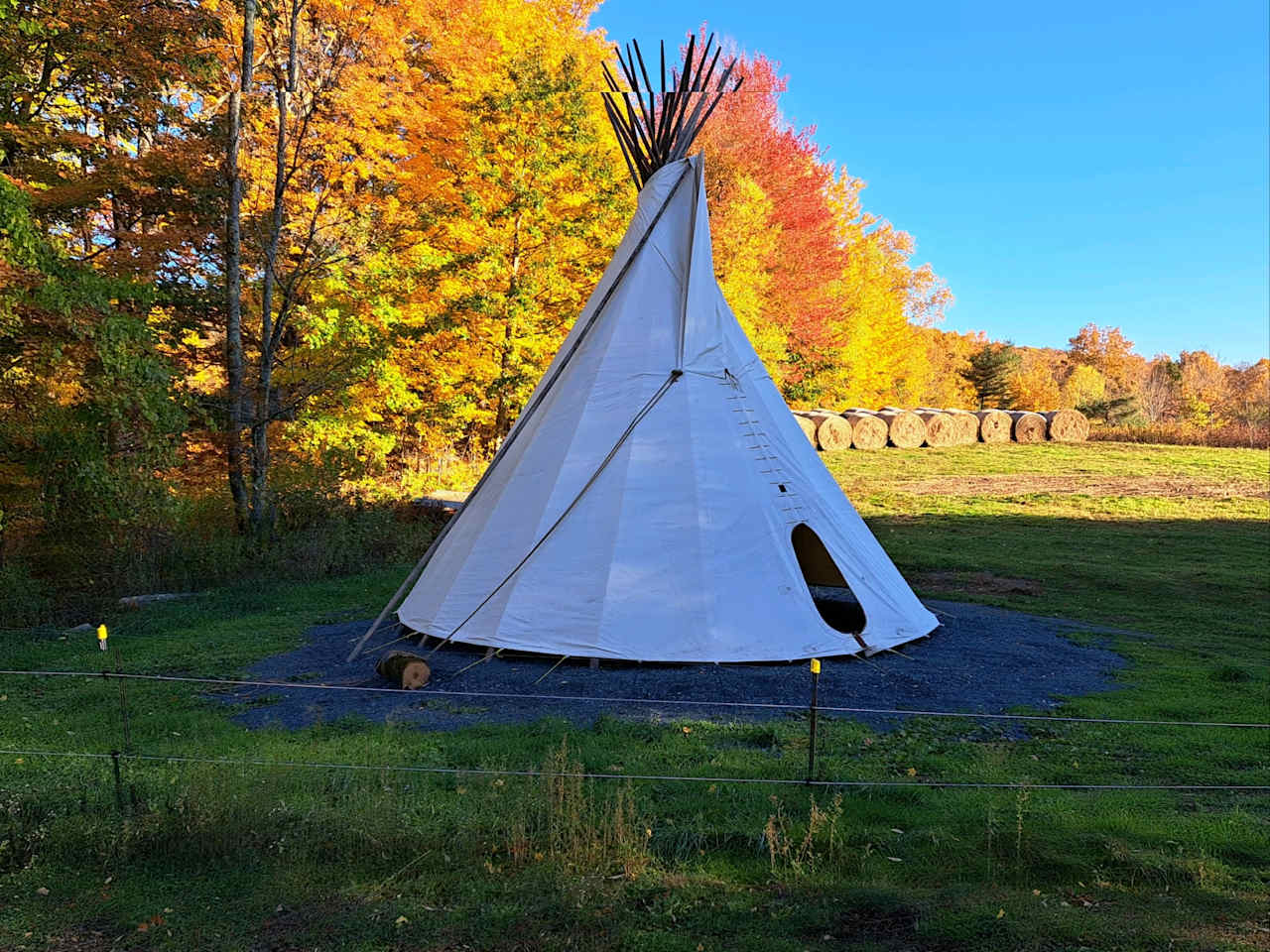 Cherry Plain Sanctuary Farm