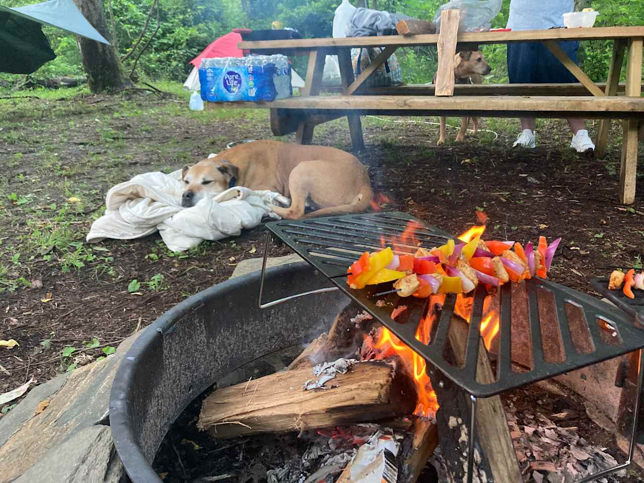 TangleWood Creekside Campsites