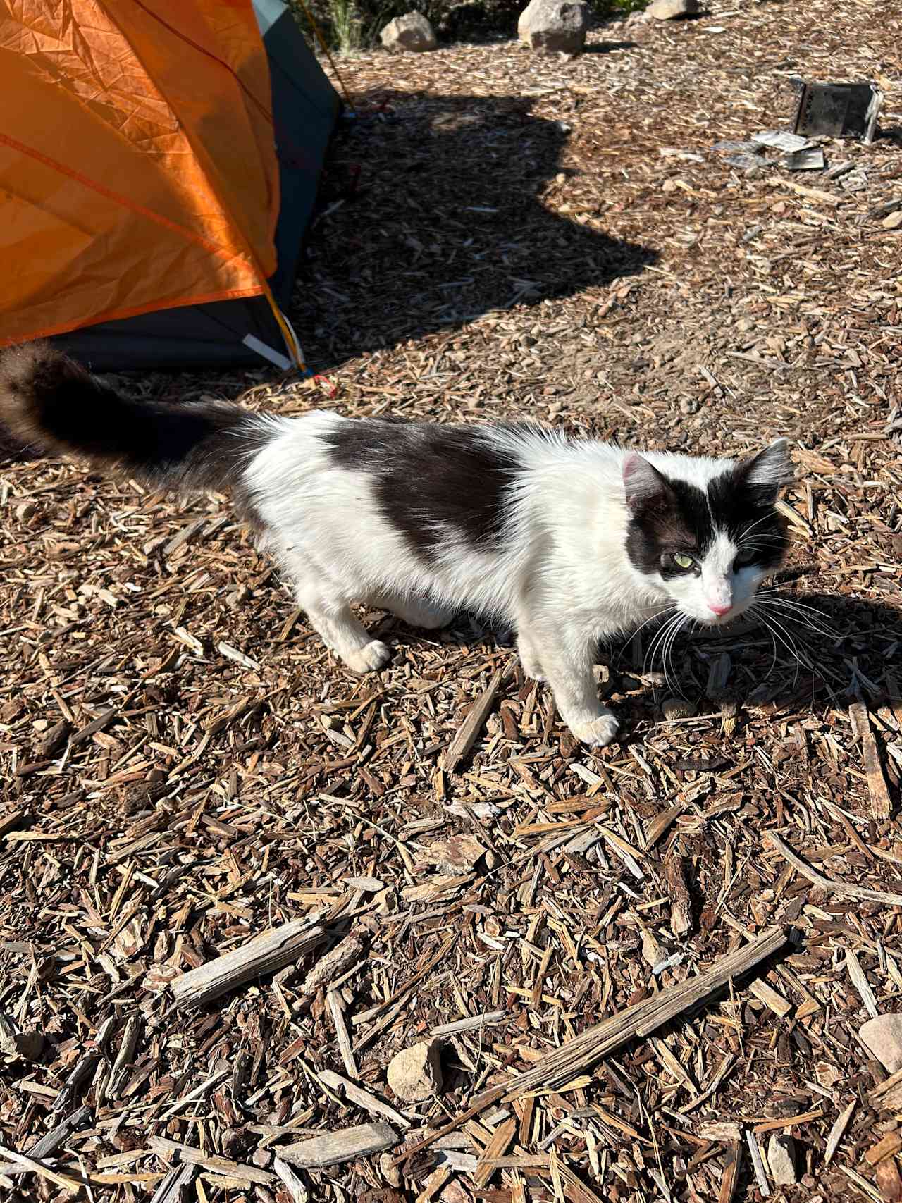 Trailer Lane Campground