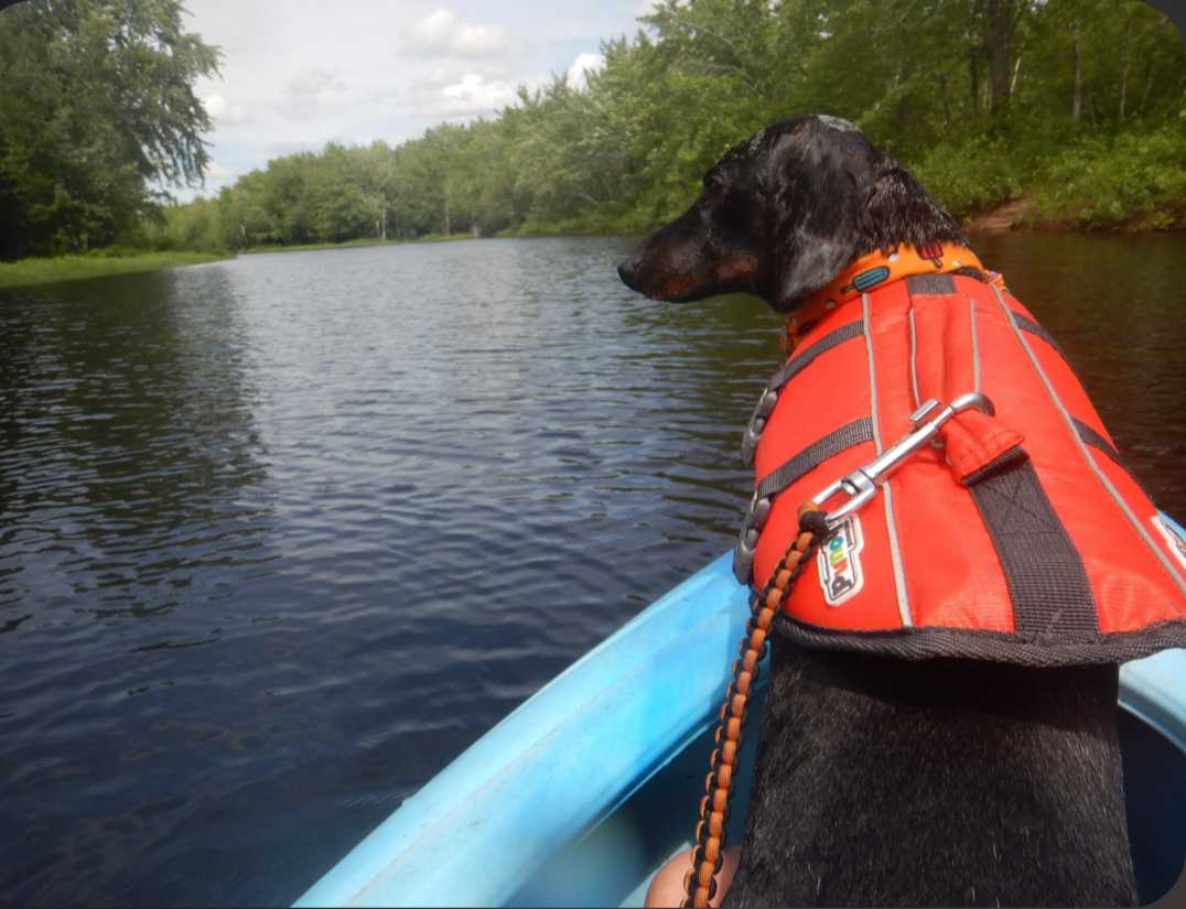 The Old Canoe