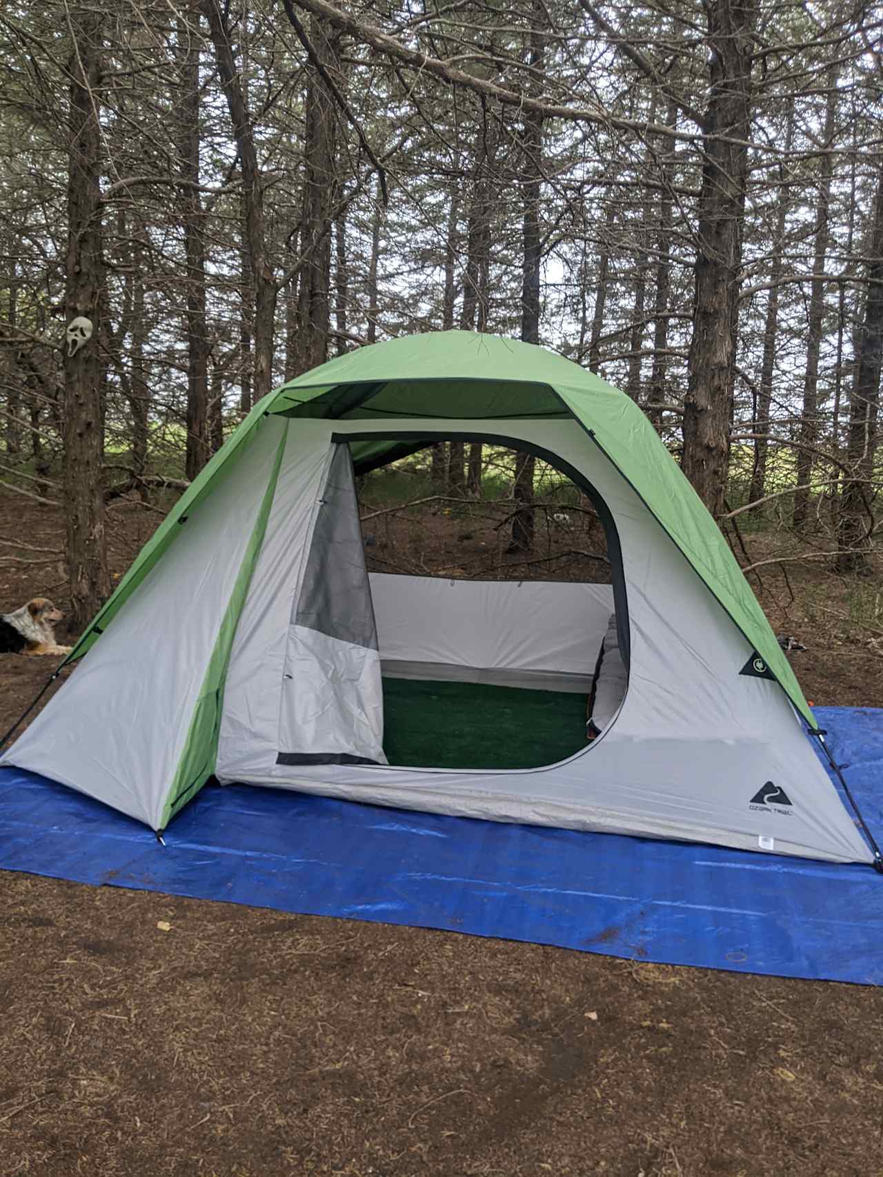Included are 2 cots, end table, lamp, 2 bag chairs, picnic table, fire pit, and use of the outdoor kitchen and modern bathrooms