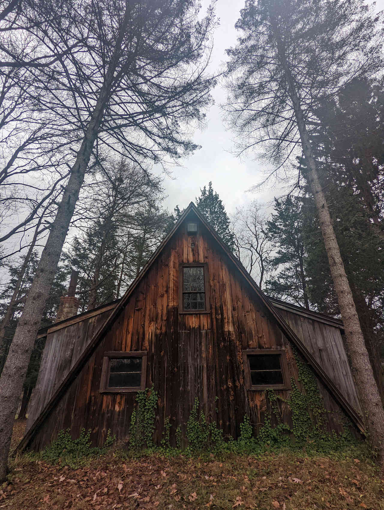 Steadfast Roots Homestead