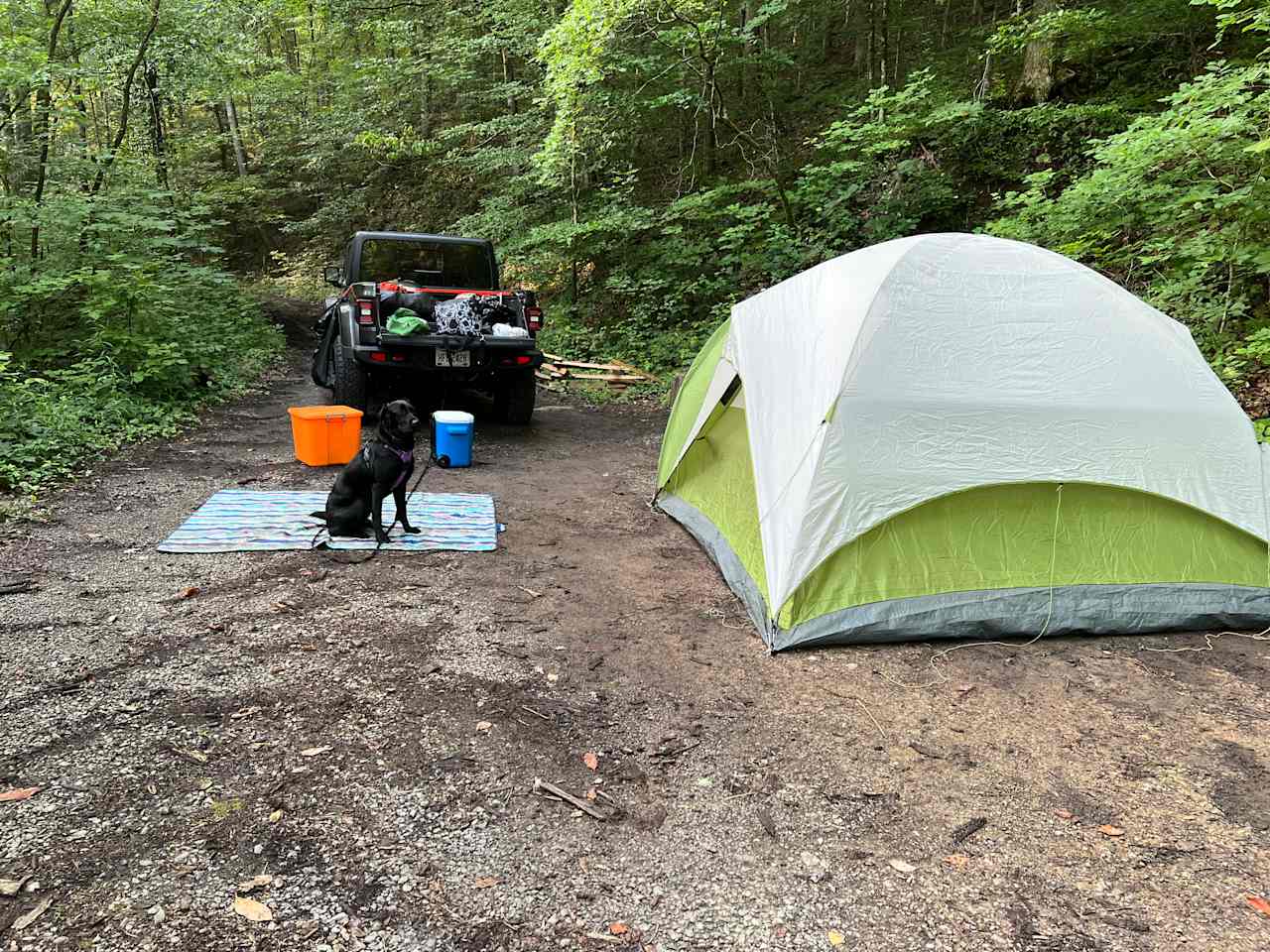 Camping at Redtail Farm