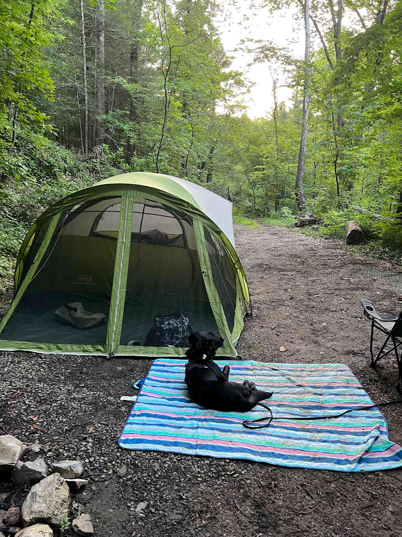 Camping at Redtail Farm