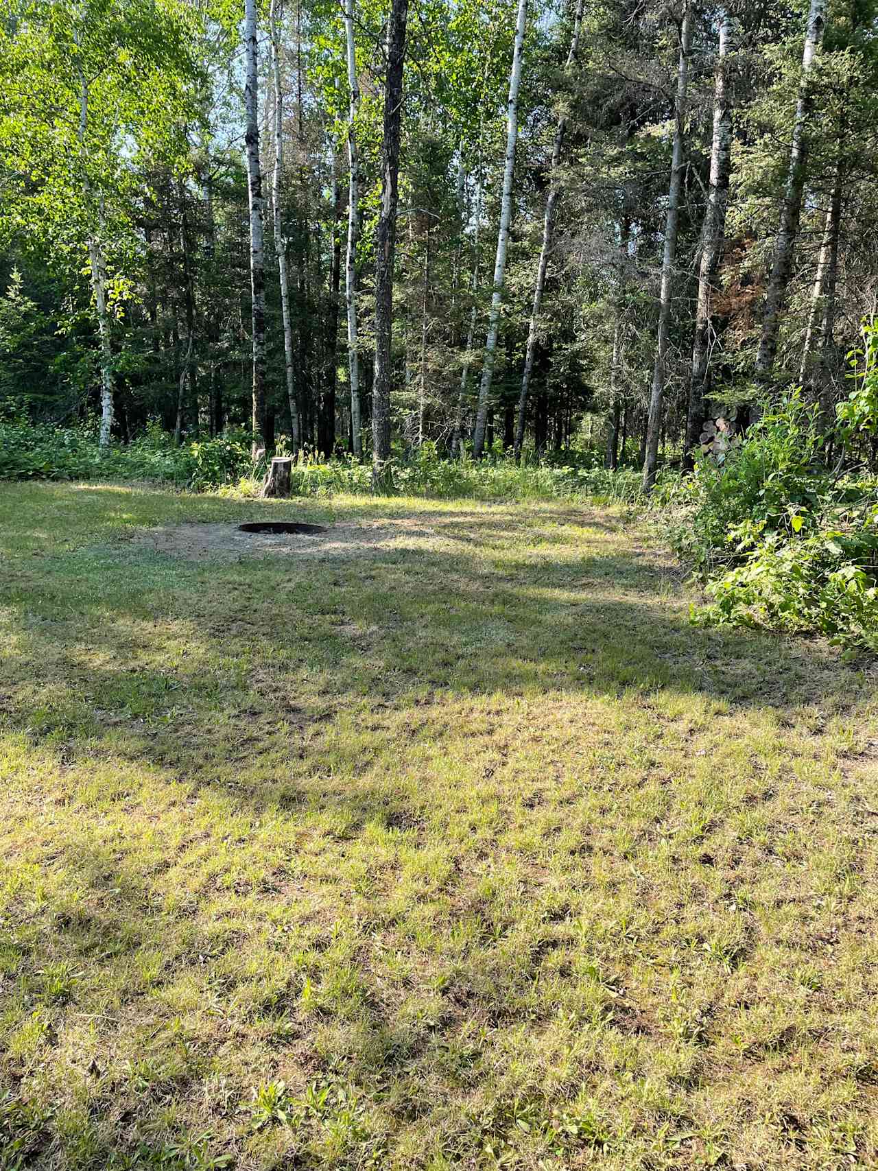 Wooded camping in Babbitt MN