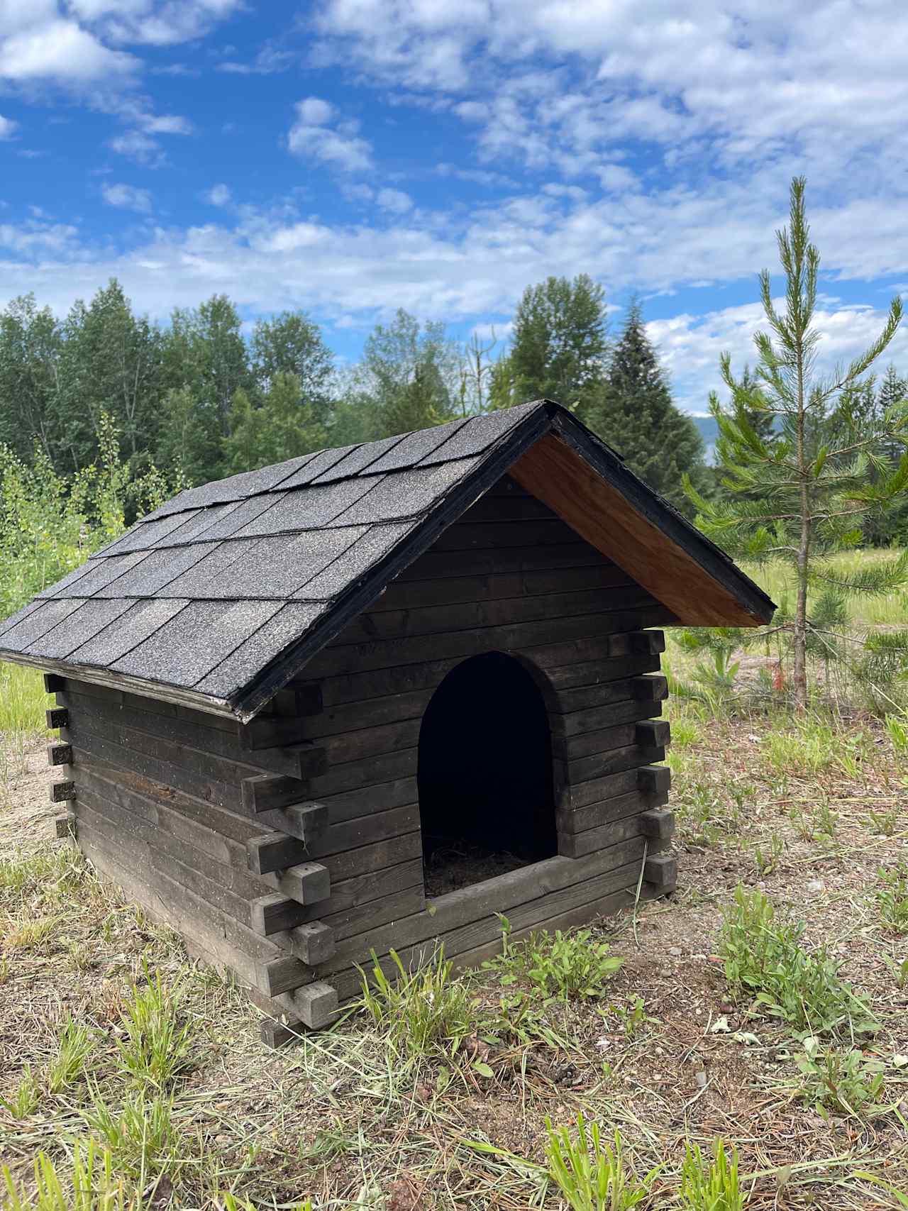 ❤️ Glacier Park HipCamp 🏕️