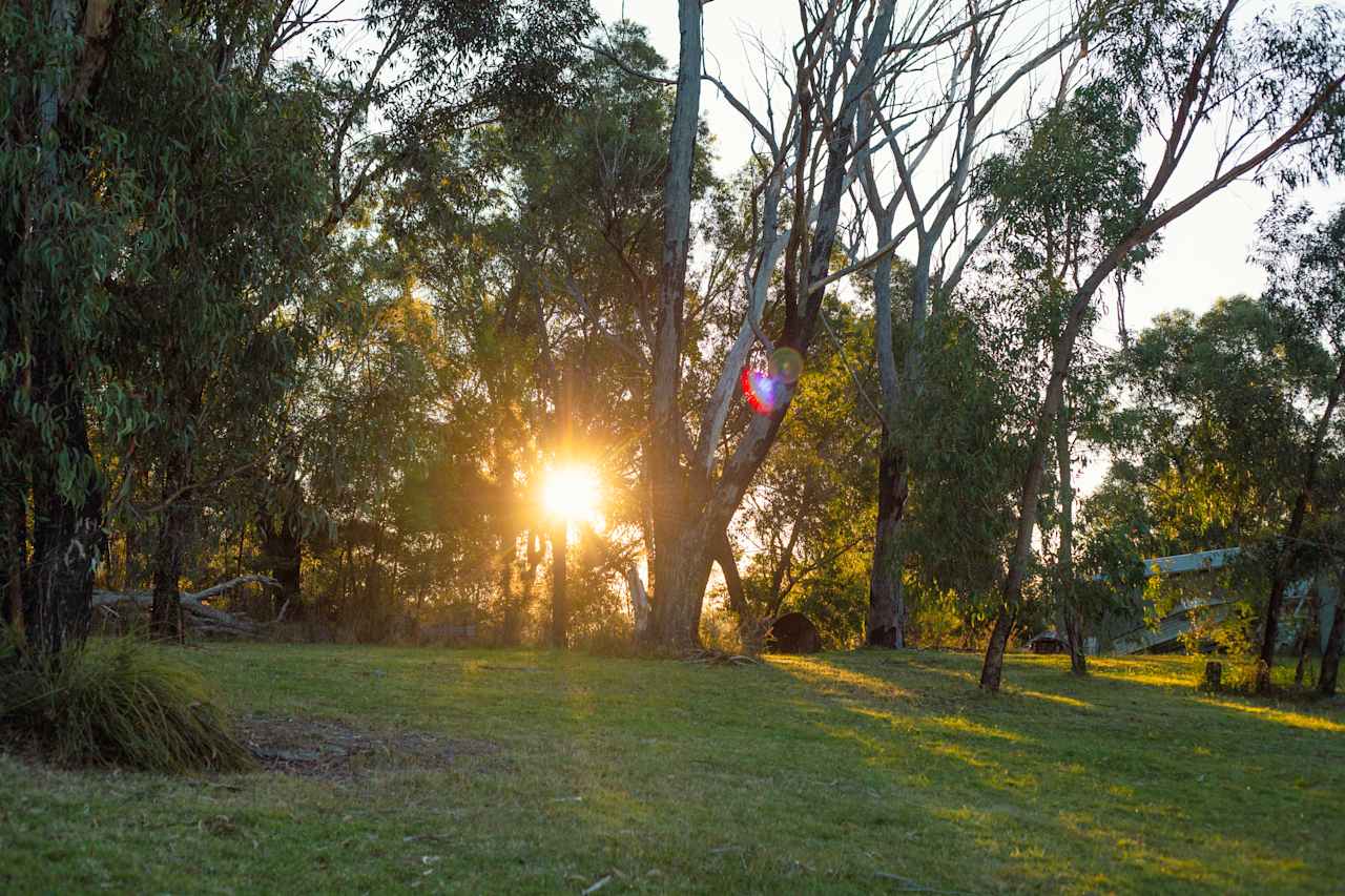 View behind site 2