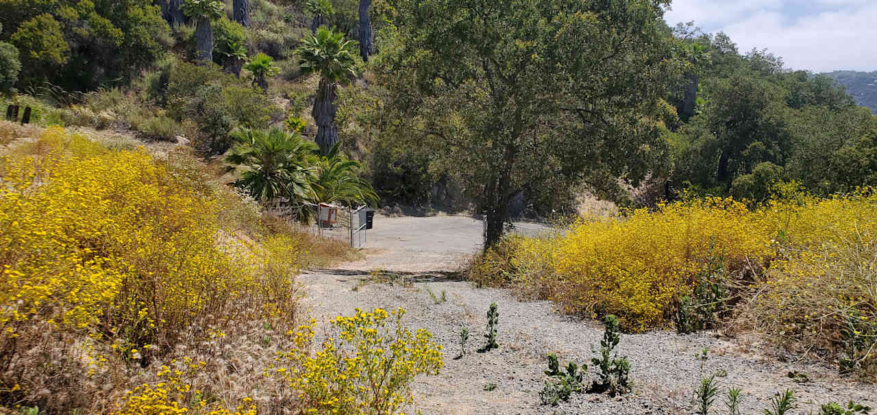 The Green Ravine & Trails in SoCal