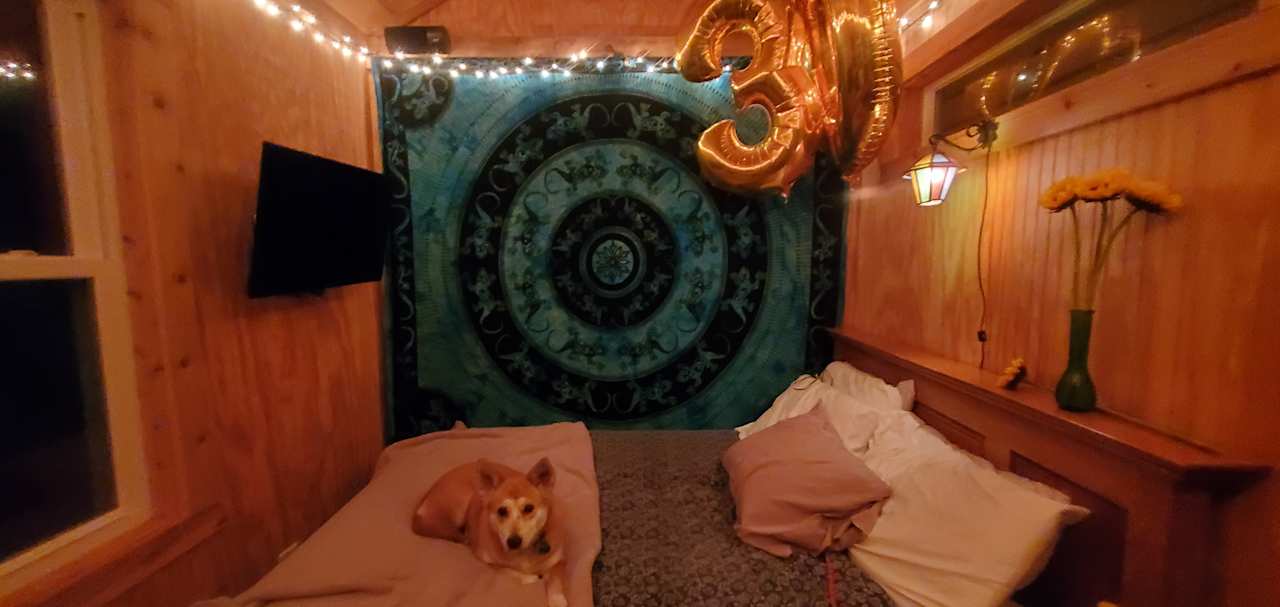 Glamping with room to roam.