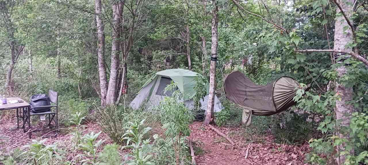 Inner-forest designated camping in your tent or ours