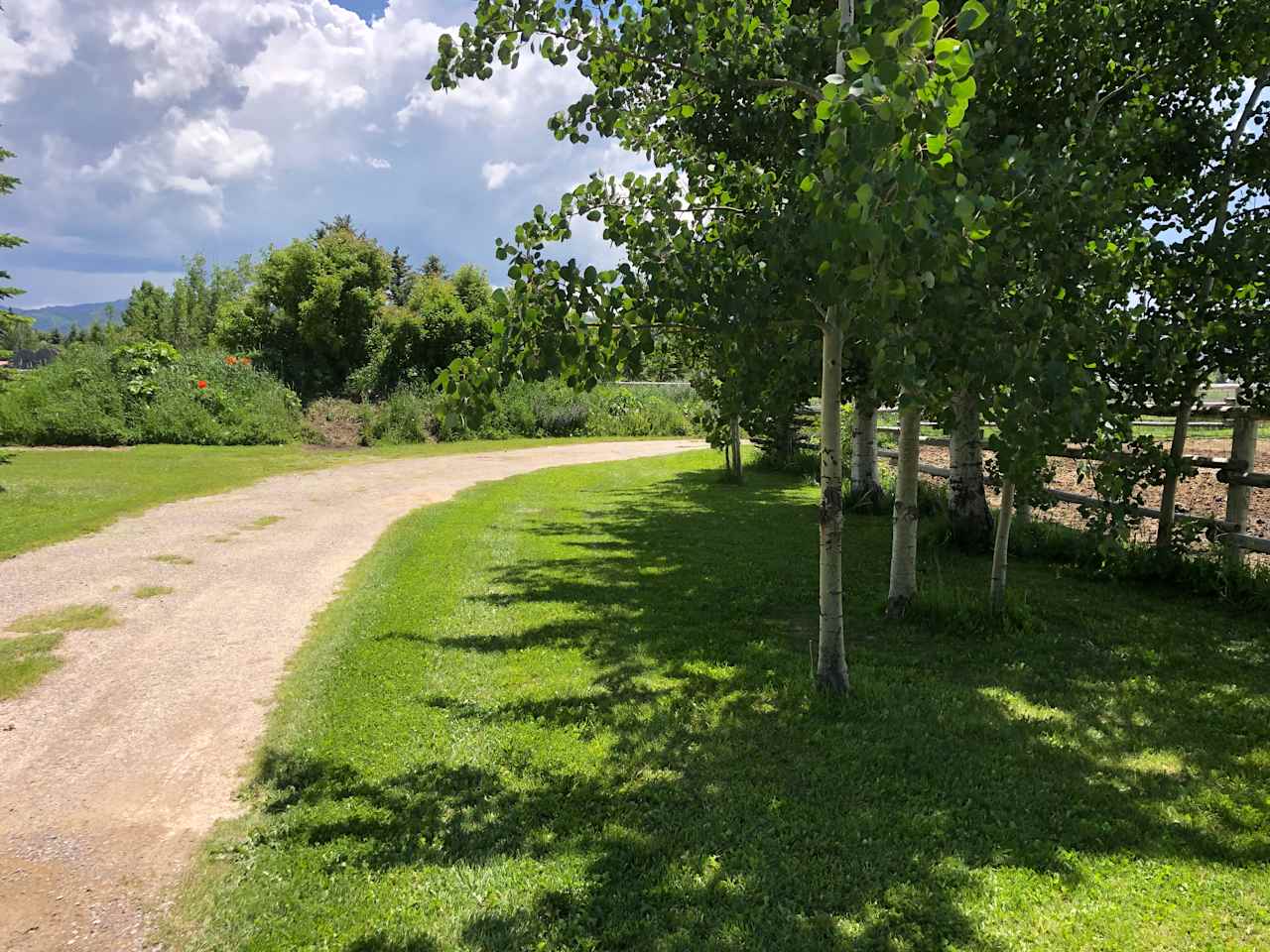 Afternoon sun can get pretty warm but the Aspen’s keep it refreshing 