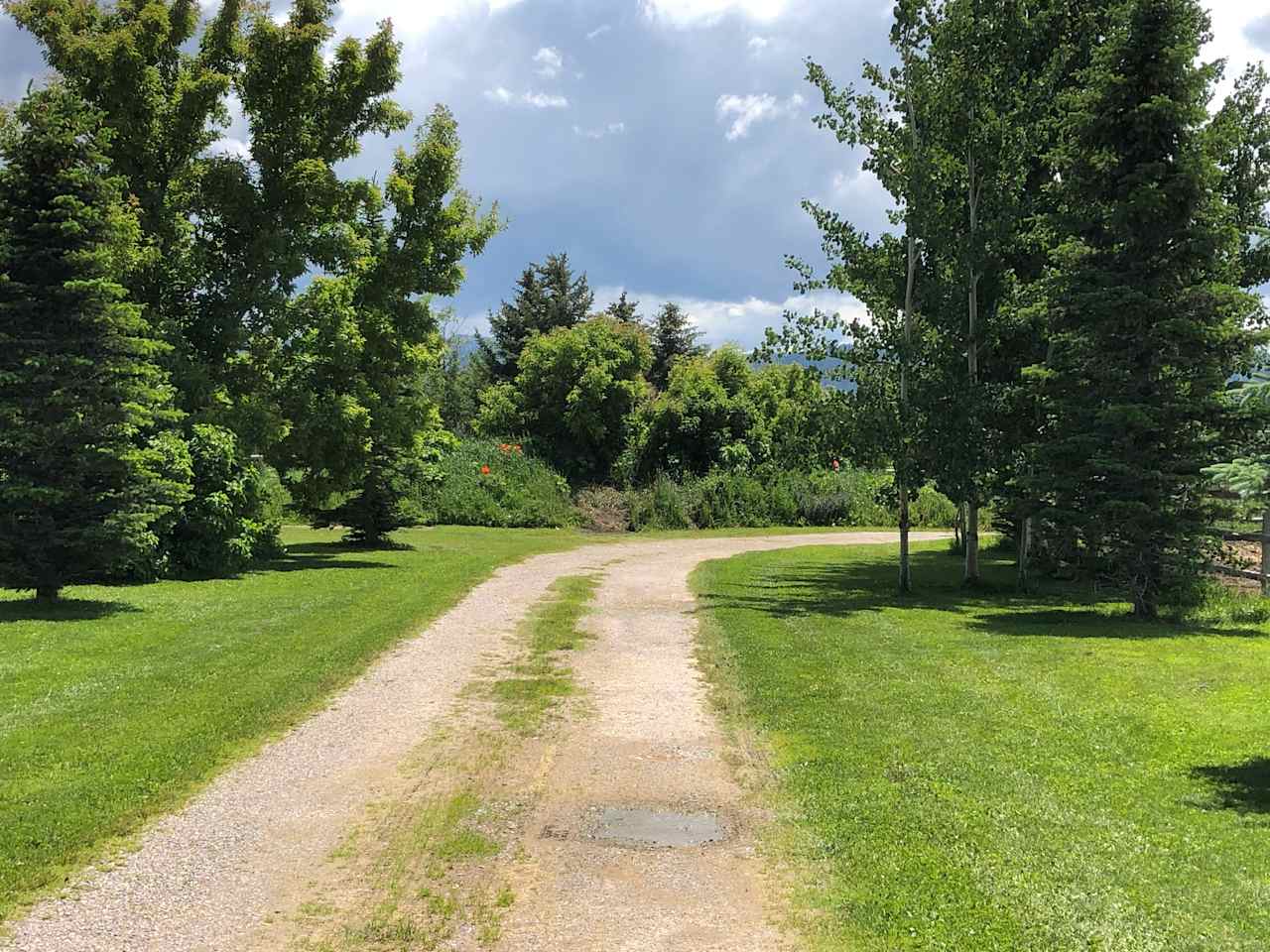 A view looking south at two camp or parking spaces on either side of this private drive. We prefer the site to the right with the shade of the Aspen’s