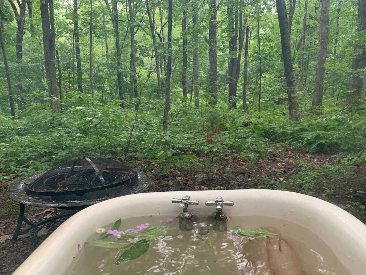 Woodland's Edge Glamping & Hot Tubs