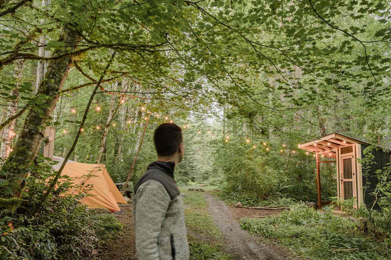 String lights surround the site and also light the inside of the outhouse