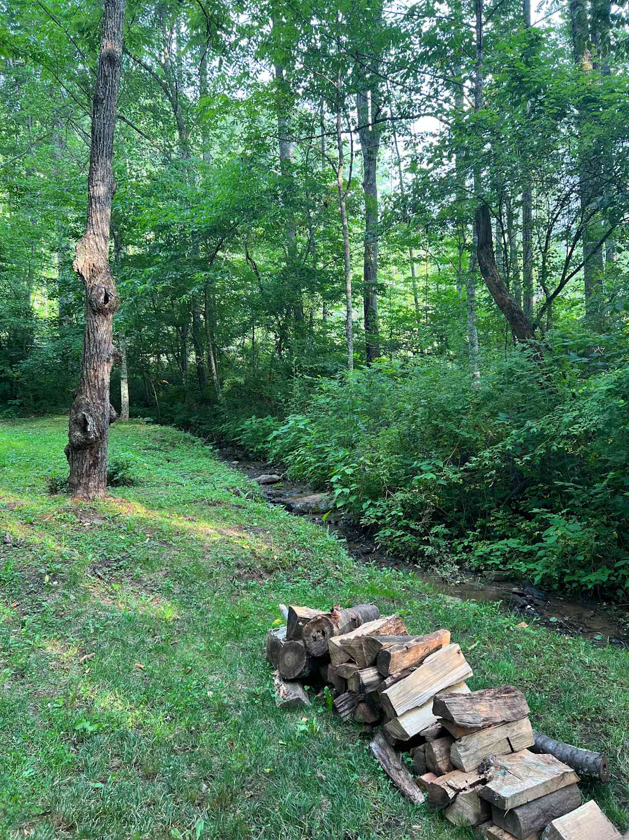 Appalachian Pond Campground