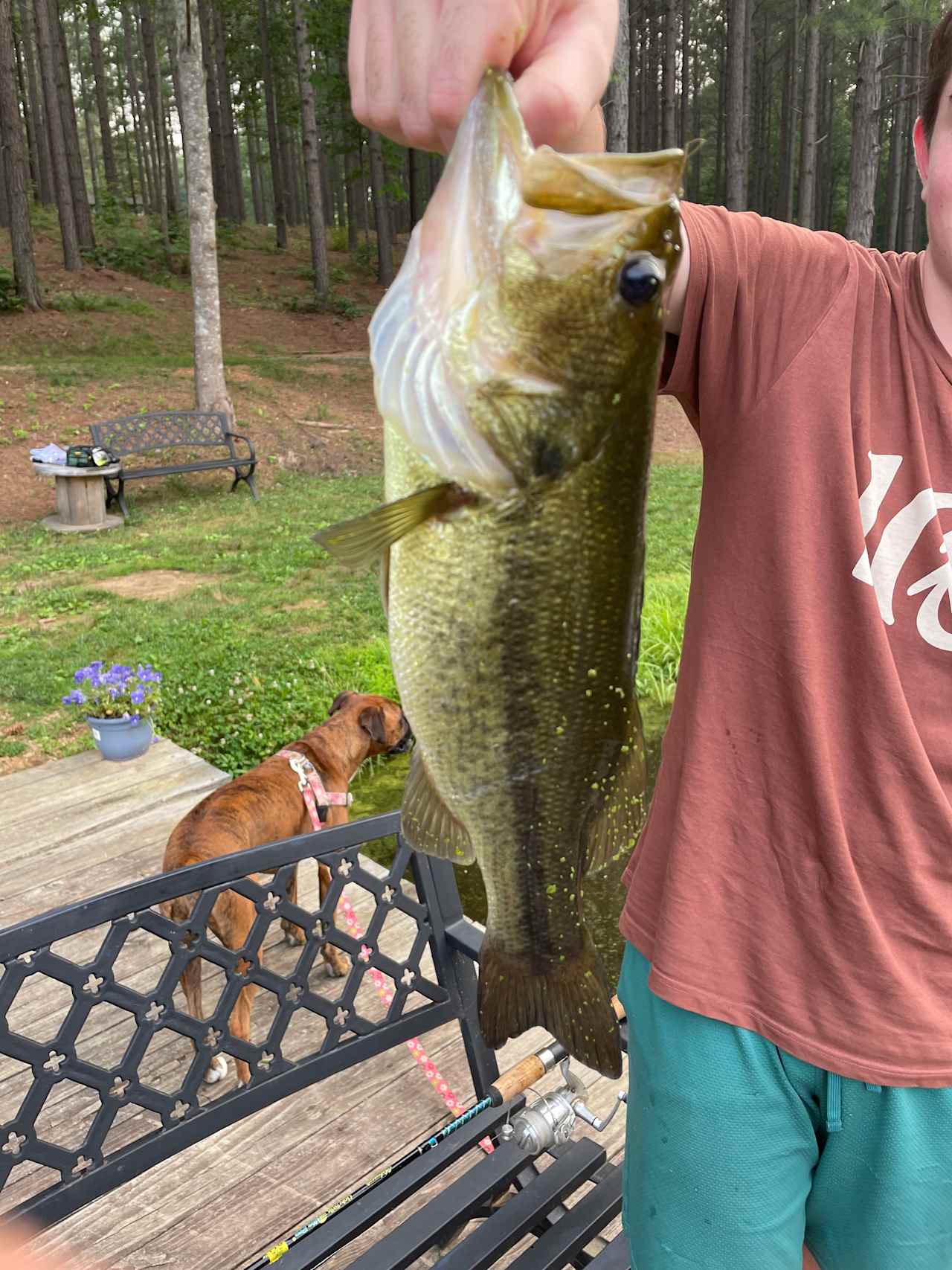 Bass #1