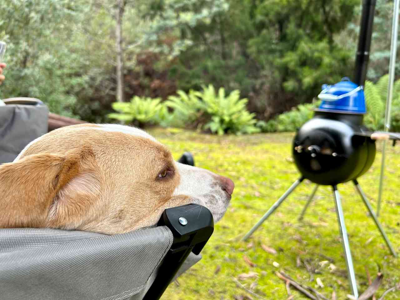 Even the dog relaxed. This is a beautiful and peaceful location 