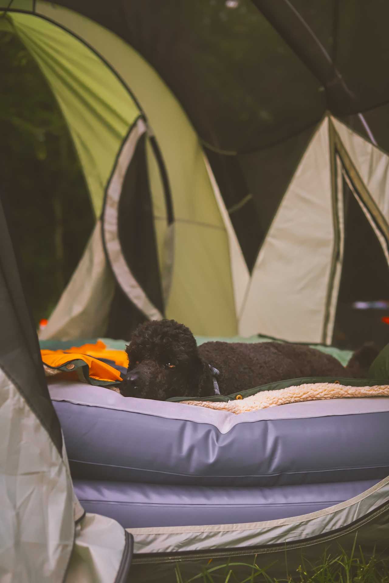 Secluded Mitchel River Camping