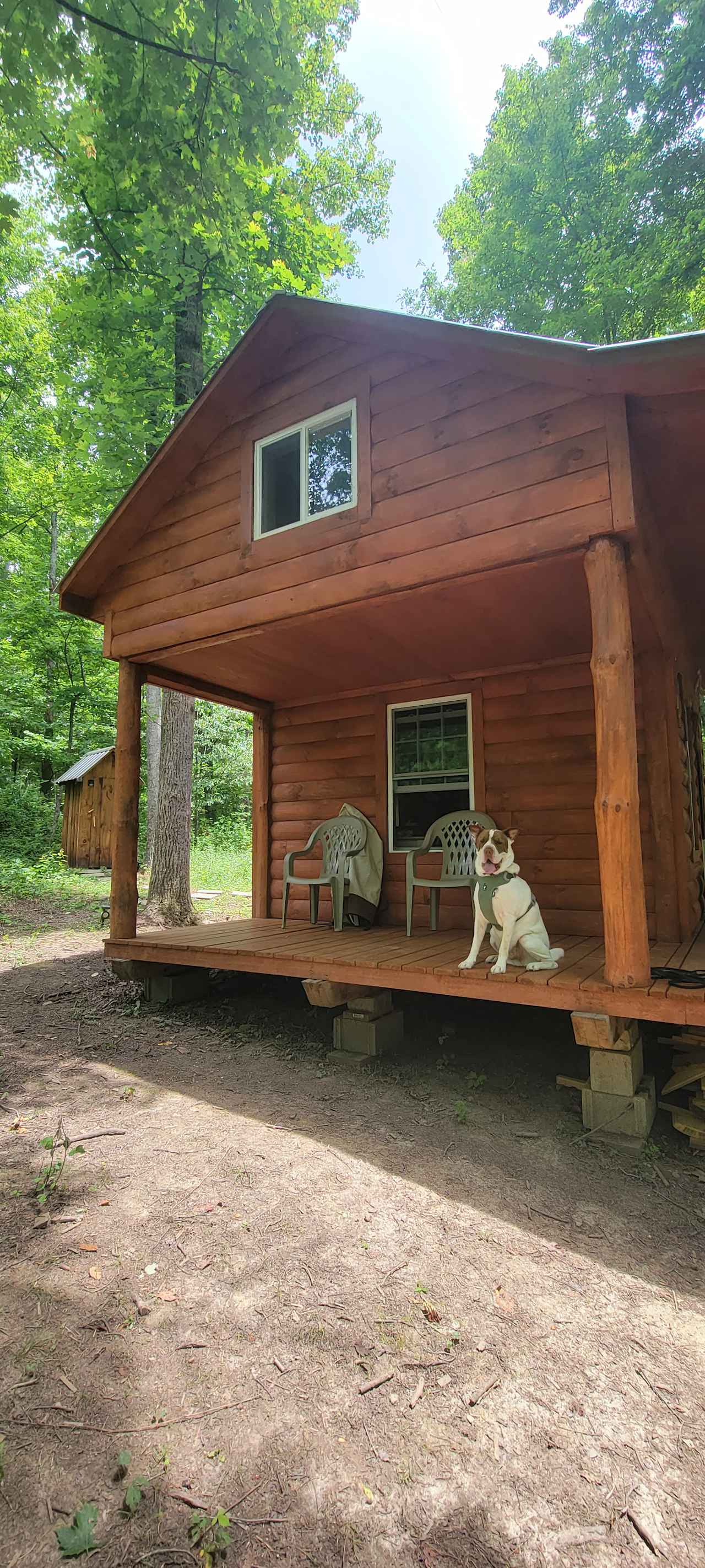 Dogwood Cabin