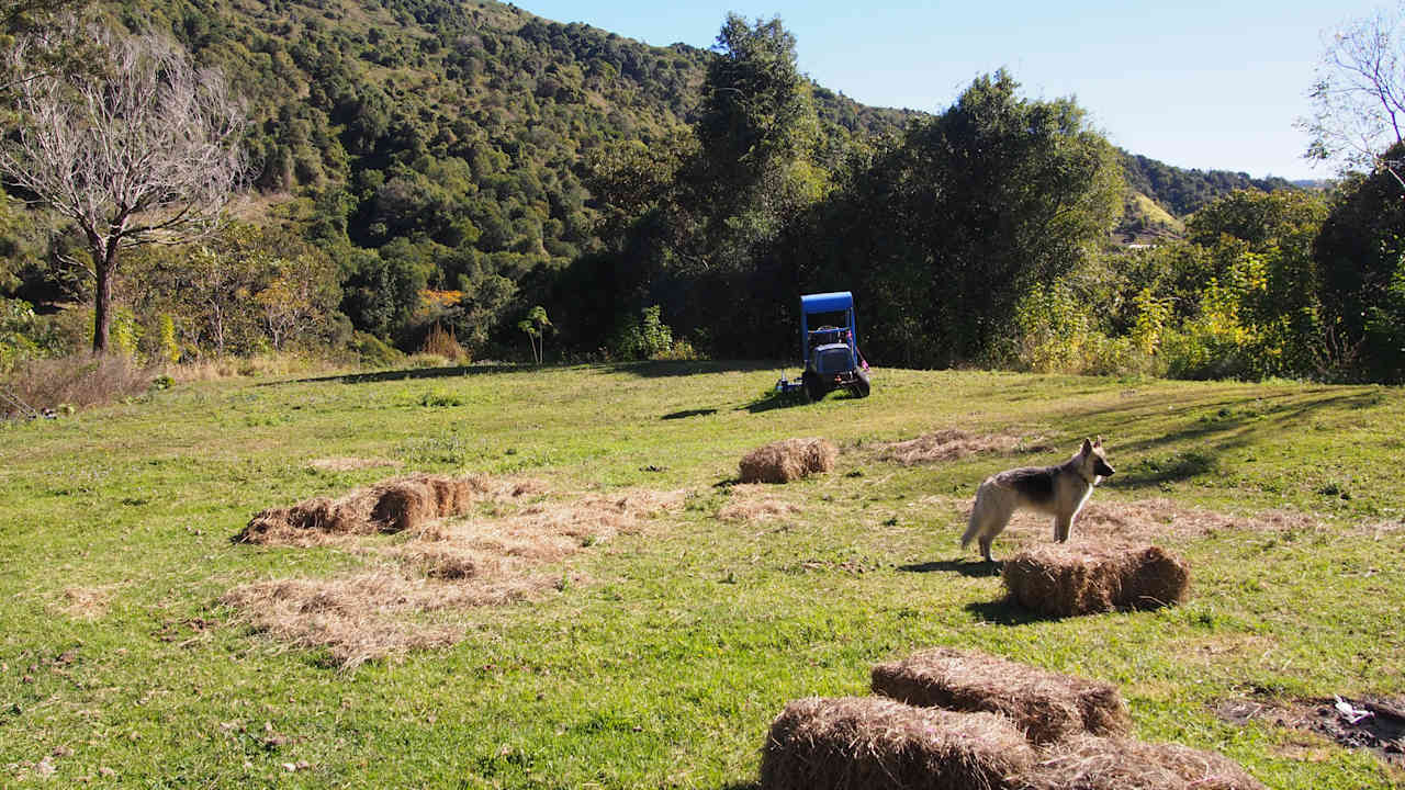 The Bush Clinic, Hinterland Retreat