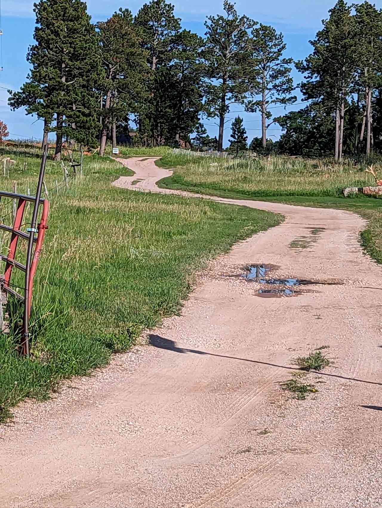 Turning onto Diamond Arrow Lane