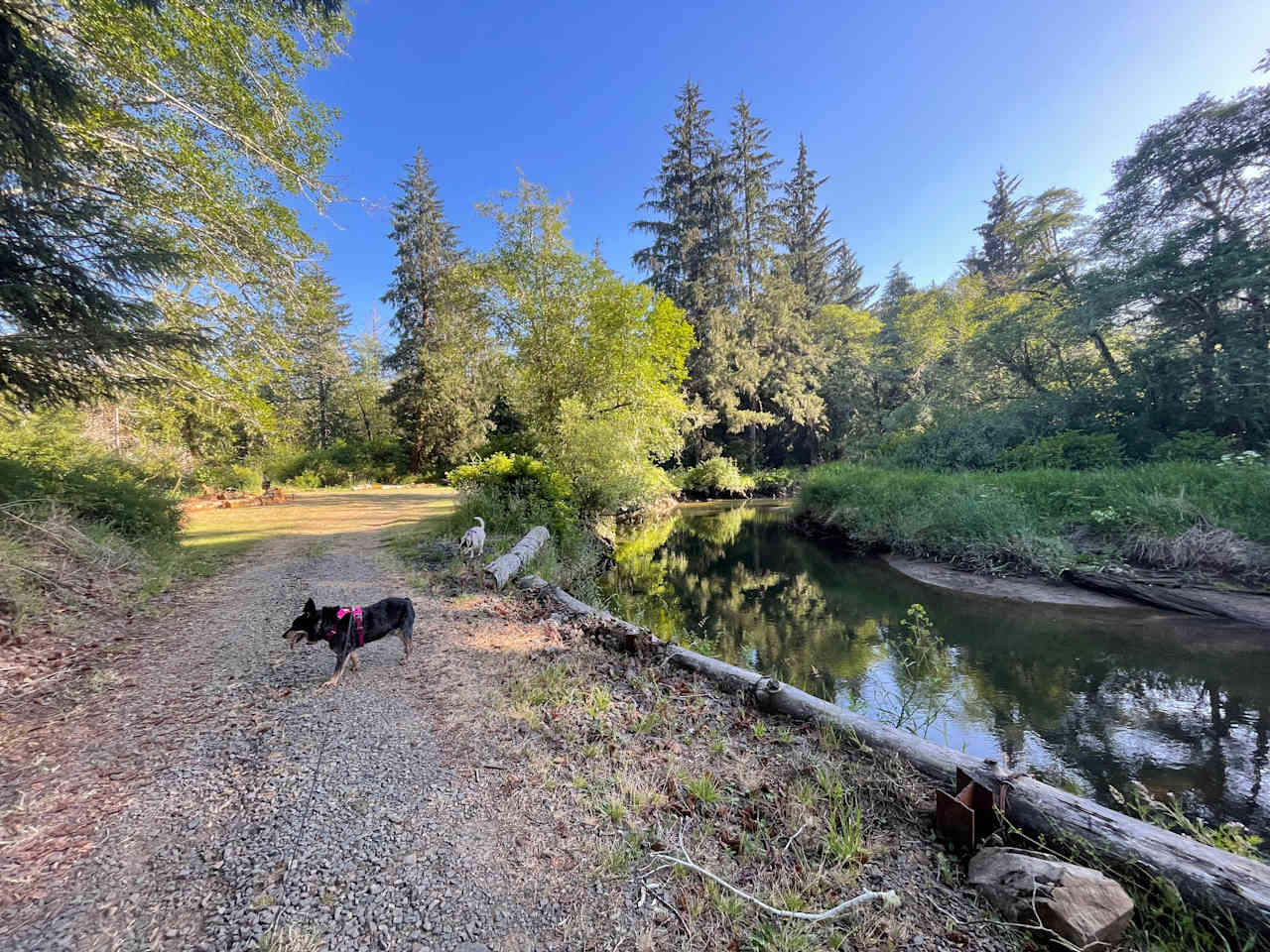 Williams Park campground