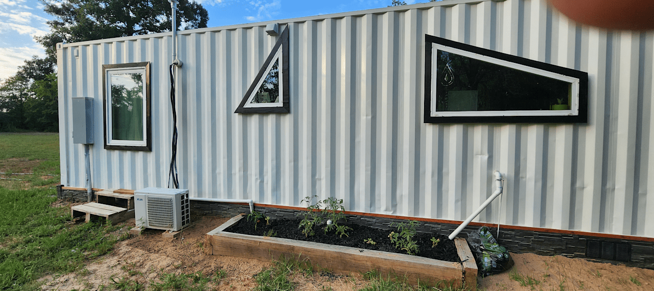 Vegetable Plants