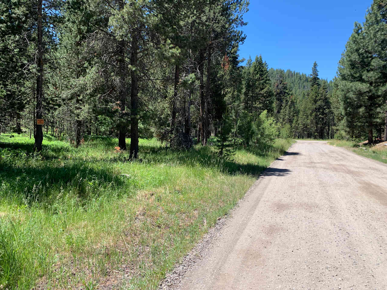 Deschutes National Forest - HERMOSA