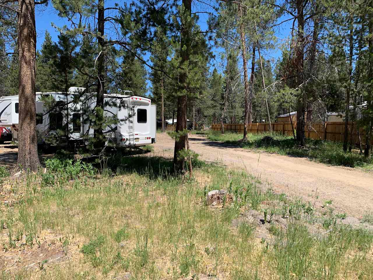 Deschutes National Forest - HERMOSA