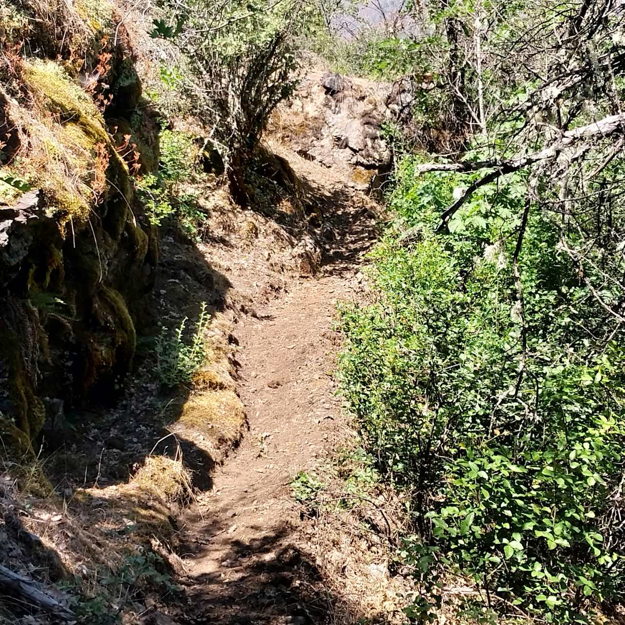 Rock garden trail 