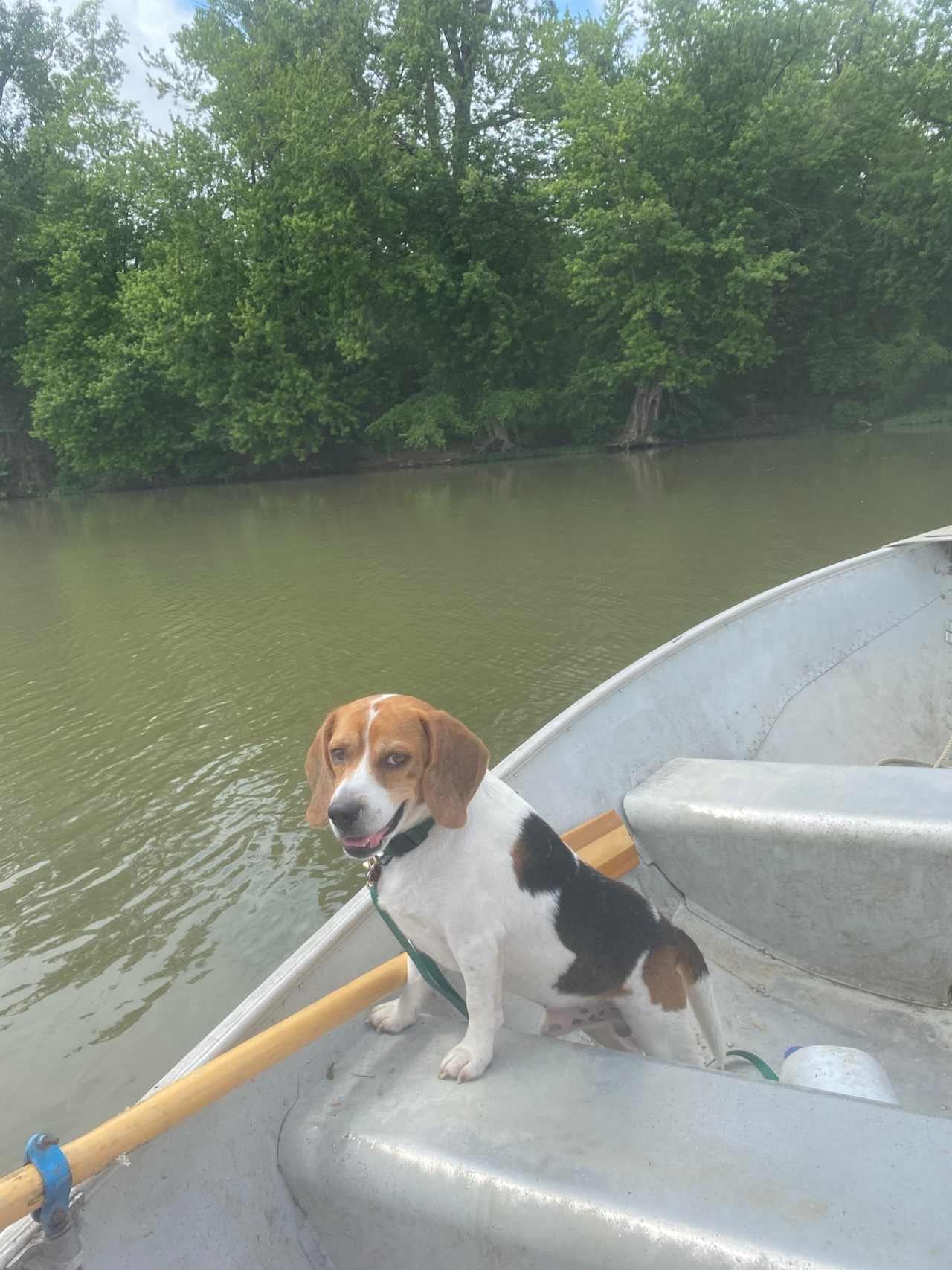 They provide a little boat to go out on the river with!