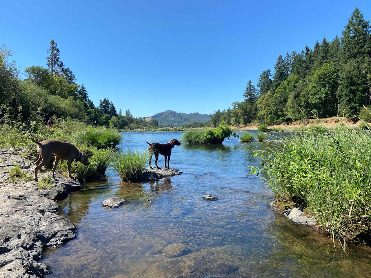 River Ranch Campground